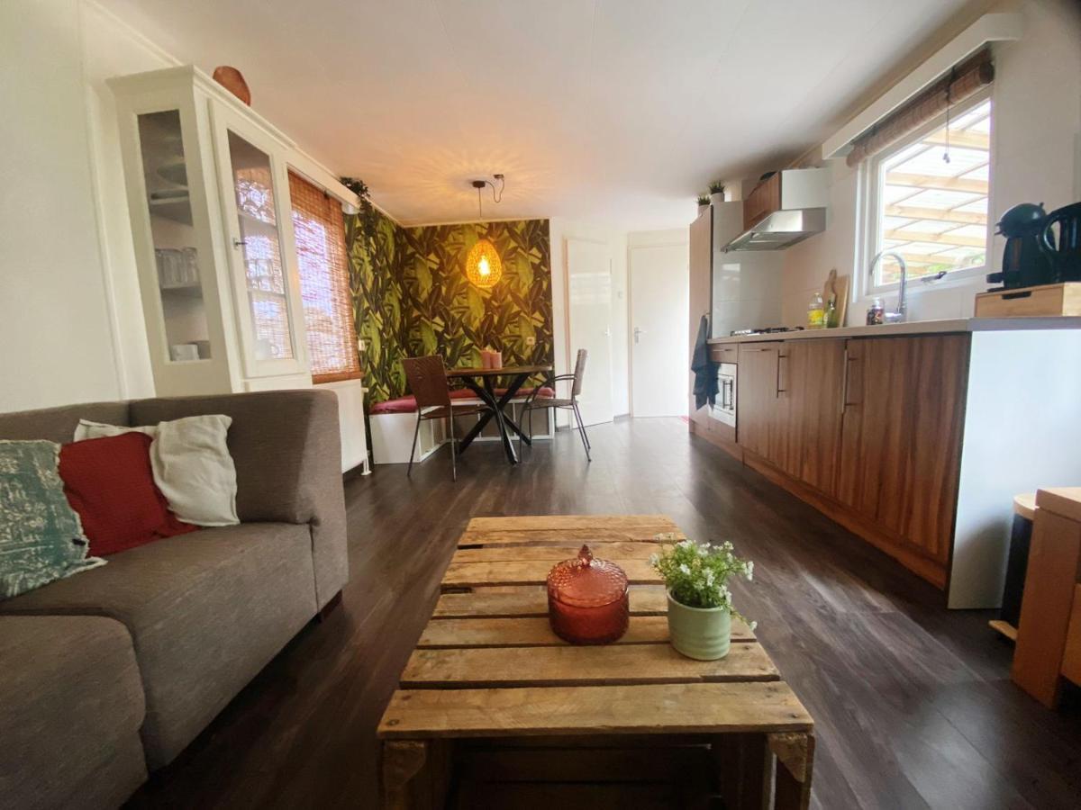 Chalet With Access To The Woods - No 147 Anloo Dış mekan fotoğraf