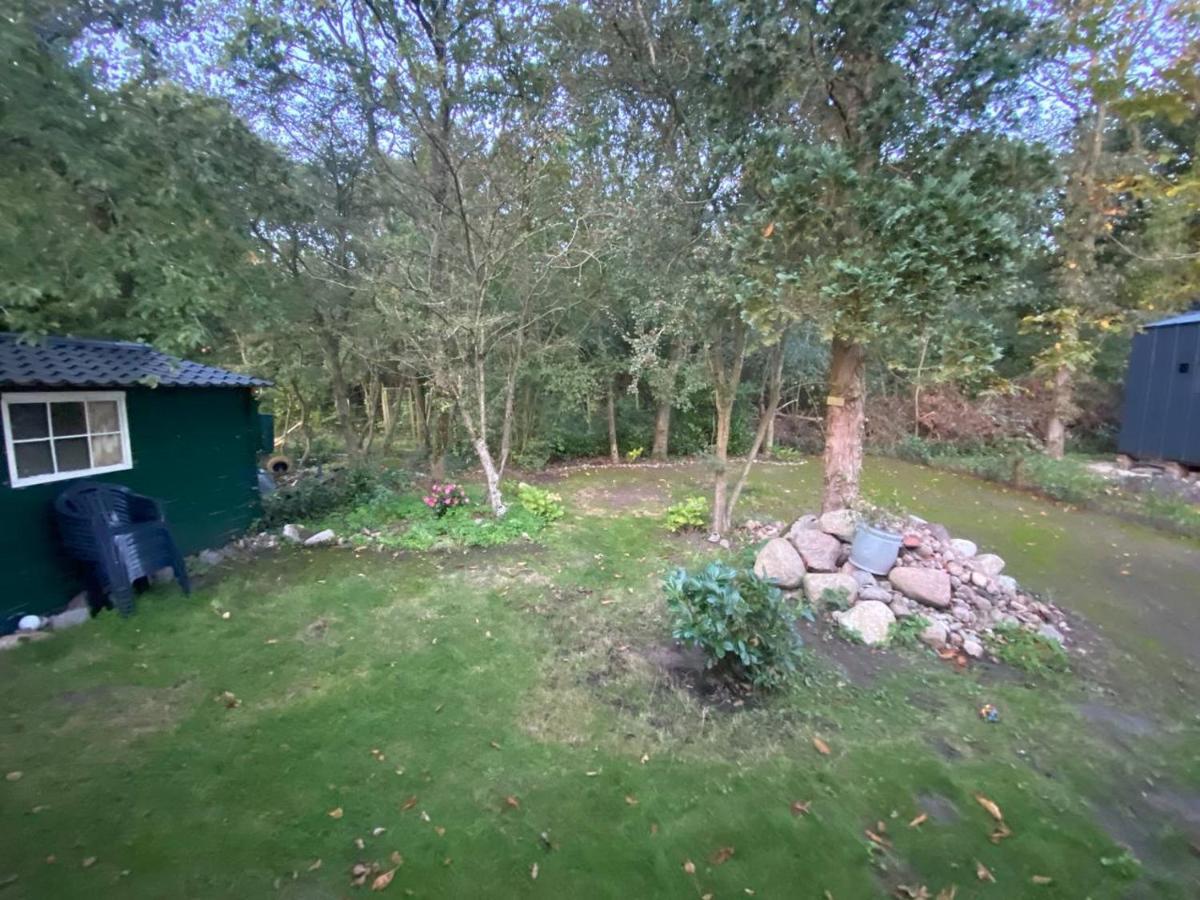 Chalet With Access To The Woods - No 147 Anloo Dış mekan fotoğraf